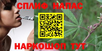 скорость Гагарин