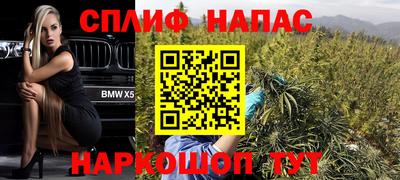 дурь Гатчина