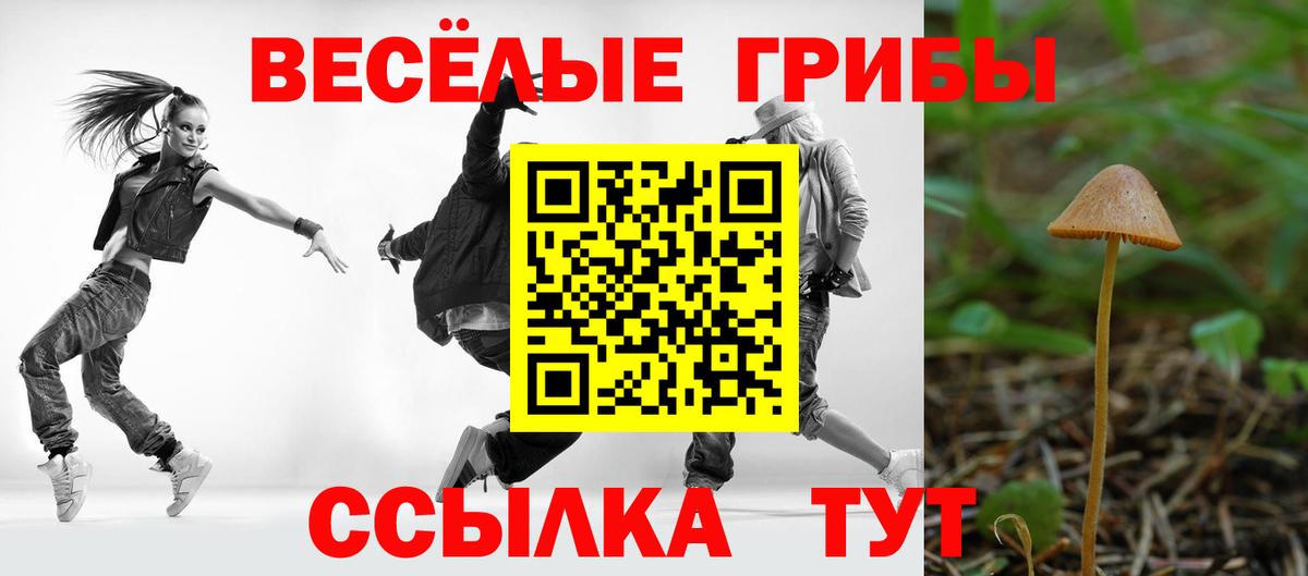 Новоалександровск  Псилоцибиновые грибы прущие грибы  Вход с VPN 